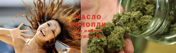 2c-b Пестово