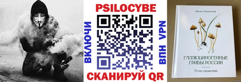 гидра маркетплейс  Приозерск  даркнет телеграм  Псилоцибиновые грибы мухоморы 